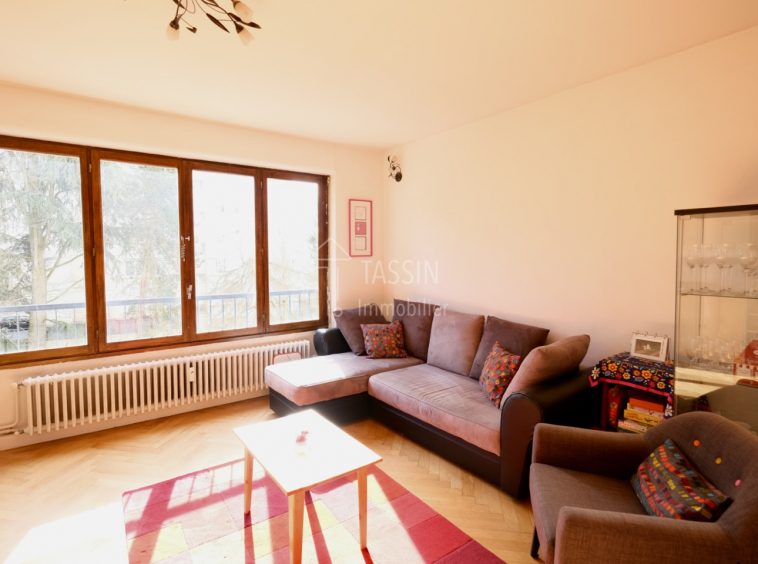 Appartement familial Tassin Centre au calme - Salon 1