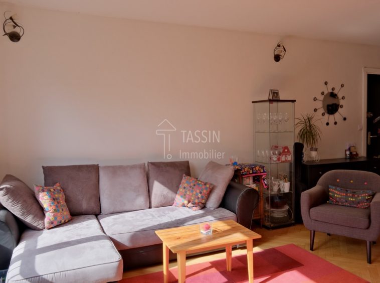 Appartement familial Tassin Centre au calme - Salon 2