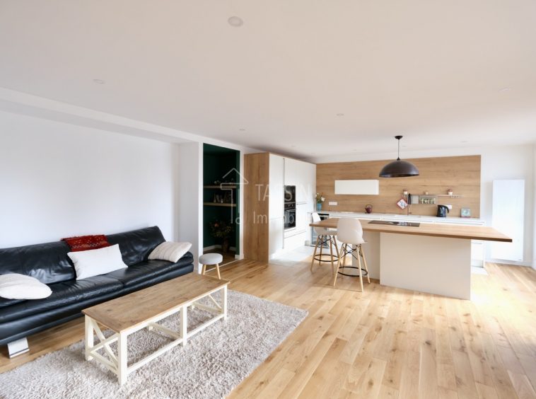 Appartement dernier étage terrasse Tassin Bourg - Salon 1