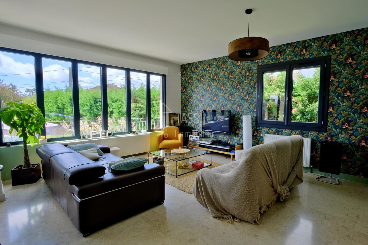 Maison Craponne 6 Pieces 220m2 Salon