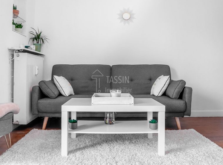 Appartement 3 pièces Tassin - Salon 1