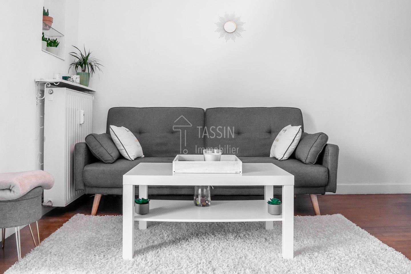 Appartement 3 pièces Tassin - Salon 1